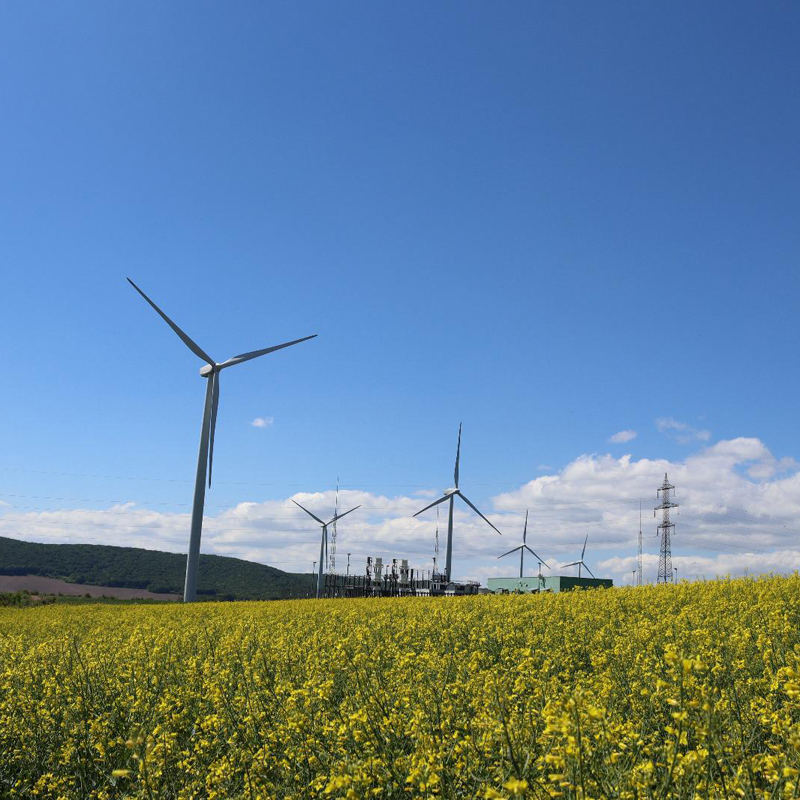 Energie eoliana